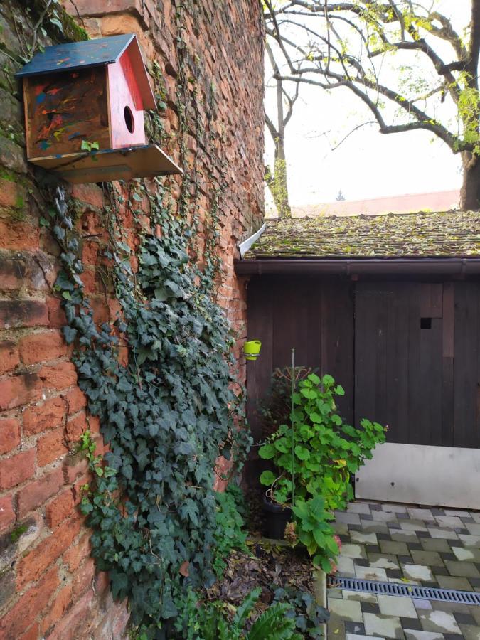 Tiny Cozy Accommodation Zagreb Buitenkant foto