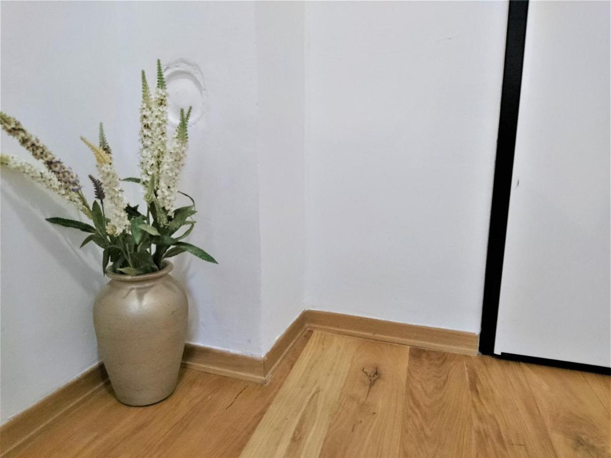 Tiny Cozy Accommodation Zagreb Buitenkant foto